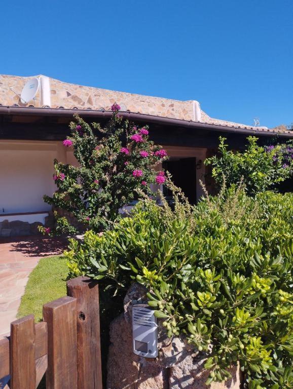 Capo Ceraso Family Resort Costa Corallina Chambre photo