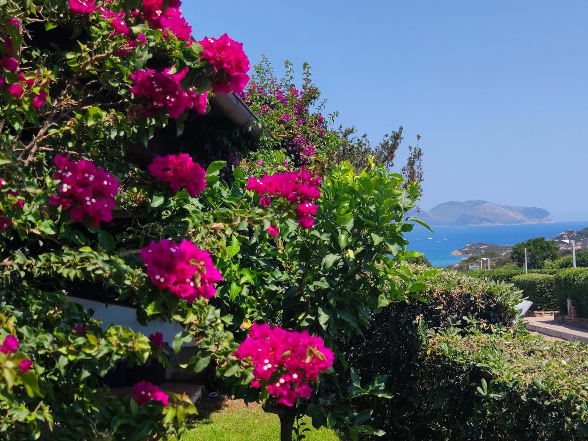 Capo Ceraso Family Resort Costa Corallina Chambre photo